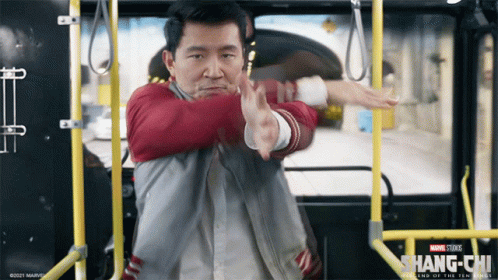 Shang Chi Fighting Pose GIF