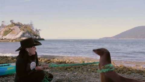 Shannen Doherty Petting A Sea Lion GIF