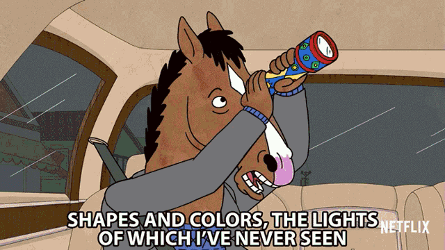 Shapes And Colors The Lights Of Which Ive Never Seen Bojack Gif GIF