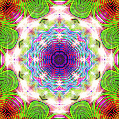 Shapes Flower Loop GIF