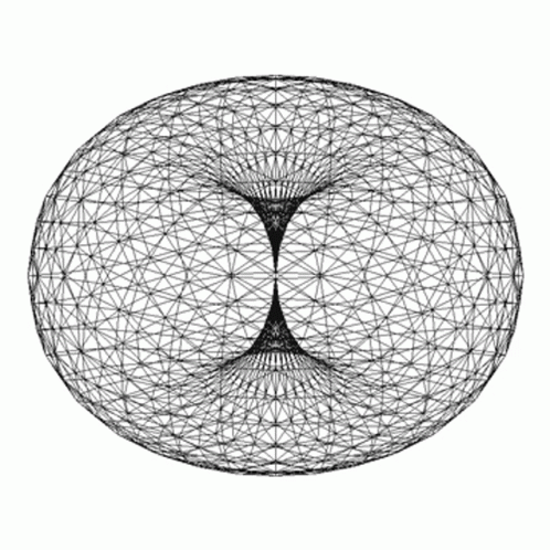 Shapes Torus Flower GIF