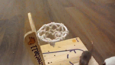 Shaq Dunking Mouse Basketball GIF