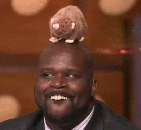 Shaq Dunking Rat Teeth GIF