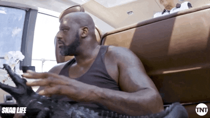 Shaquille O'neal Alligator Toy GIF