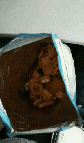 Share Please Dog Reaction Food GIF