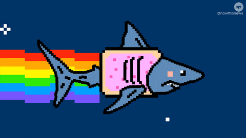 Shark As Neon Cat GIF