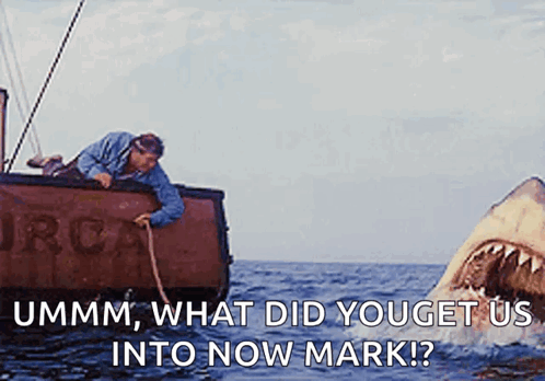Shark Attacking Man on Boat Saying Ummm What Did You Get Us Into Now Mark