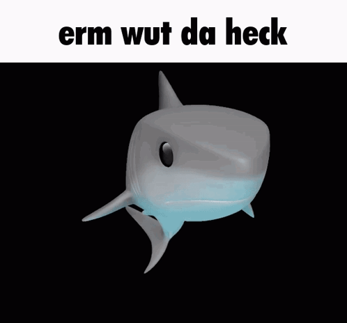 Shark Erm Wut Da Heck