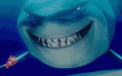 Shark Face Close Up With Clown Fish GIF