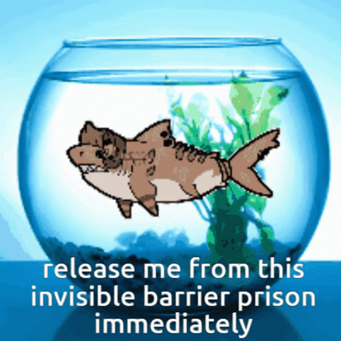 Shark Fish Bowl Release Me Invisible Barrier Prison