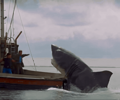 Shark Jumping Out of Water Near Boat With People