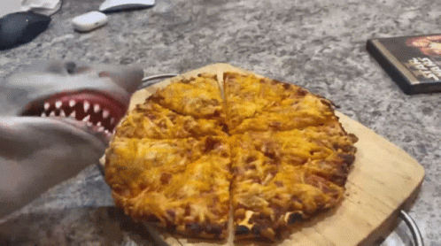 Shark Looking at Pizza Next to Book Titled Sharks
