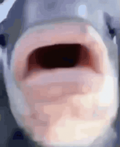 Shark Mouth Wide Open