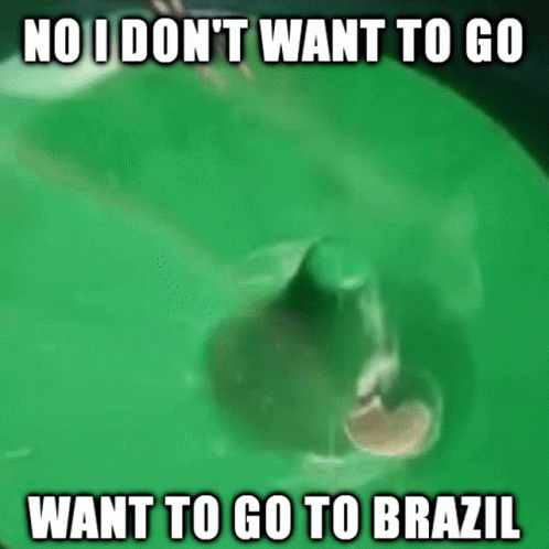 Shark Swimming in Green Pool Saying No I Don't Want to Go to Brazil