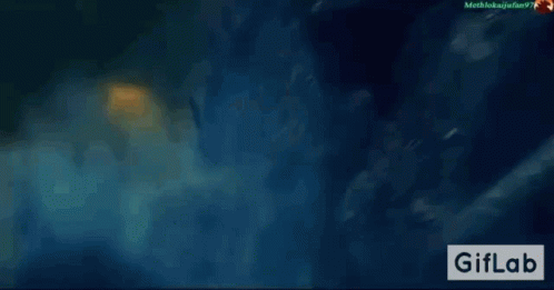 Shark Swimming In Ocean GIF