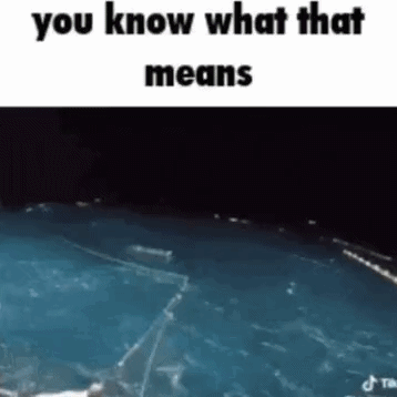 Shark Swimming in Pool Saying You Know What That Means