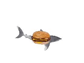 Shark Swimming Next to Cheeseburger
