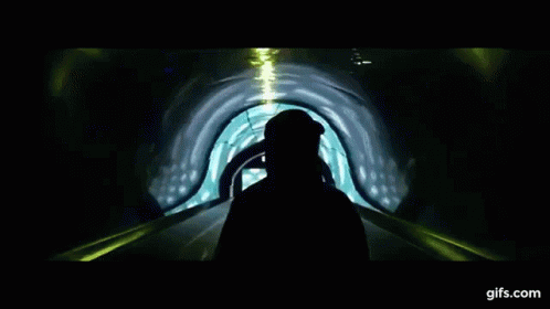 Shark Swimming Underwater with Light
