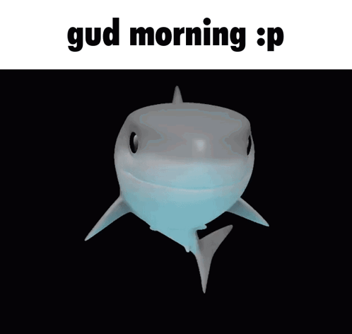 Shark Swimming With Gud Morning