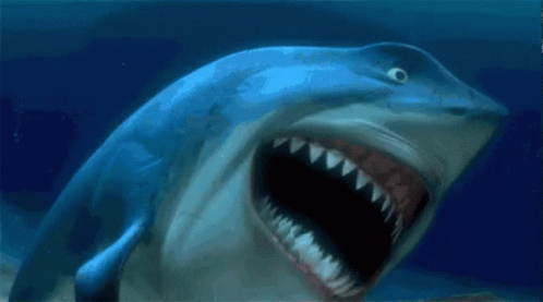 Shark Swimming With Open Mouth GIF
