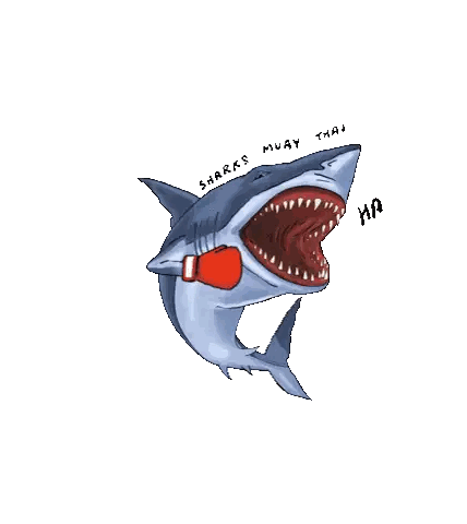 Shark Wearing Boxing Gloves