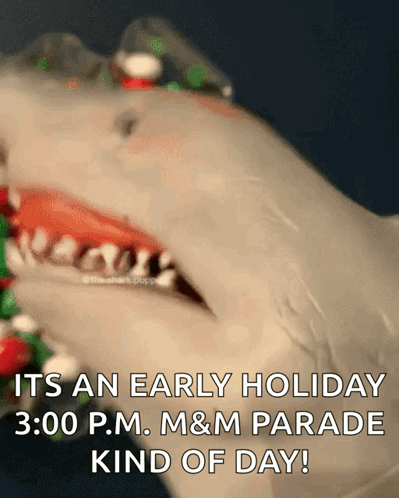 Shark Week Eating Chocolates GIF