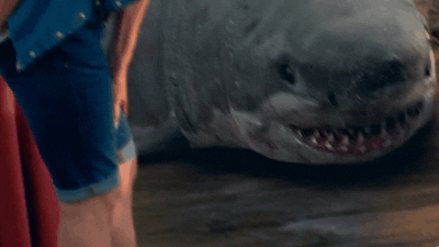 Shark Week Guy Coming Out GIF