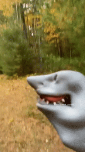 Shark Week On The Land GIF