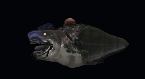 Shark With Fishing Rod On Head GIF