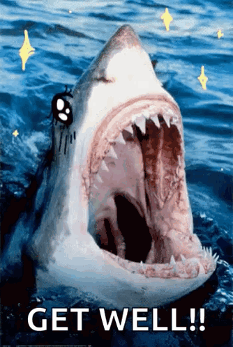 Shark With Mouth Open Get Well GIF