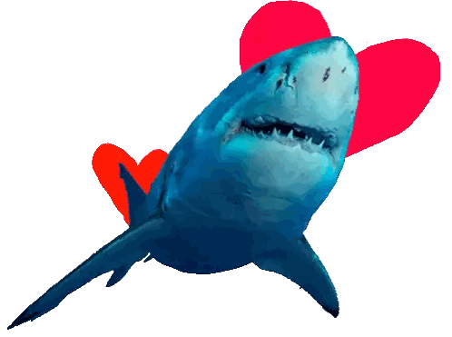 Shark With Red Heart Background
