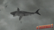 Sharknado Shark On Top Of Building GIF