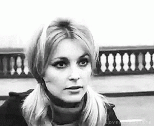 Sharon Tate Serious Look GIF