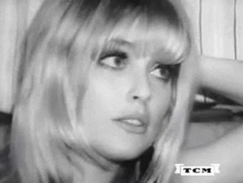Sharon Tate Vintage American Celebrity GIF