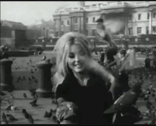 Sharon Tate With Pigeons GIF