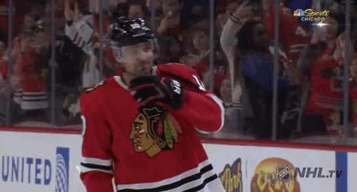 Sharp Ice Hockey Player GIF