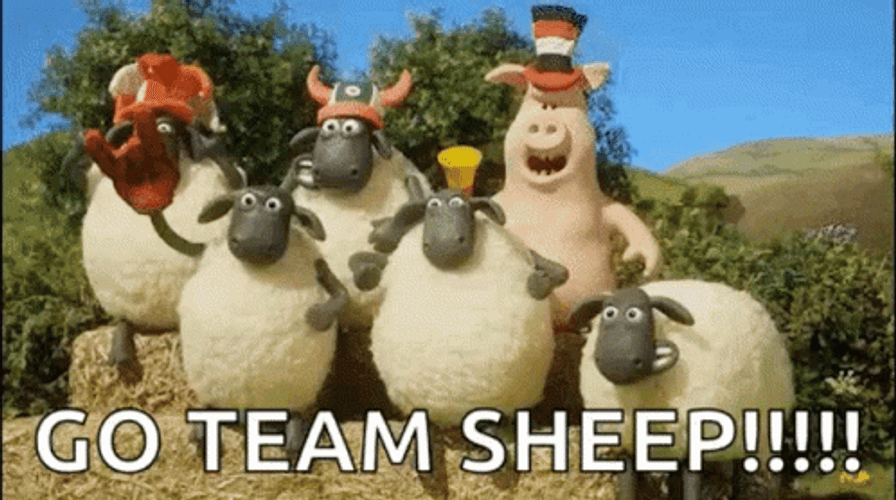 shaun-the-sheep-fans-audience-qfxek6iutou4n346.gif