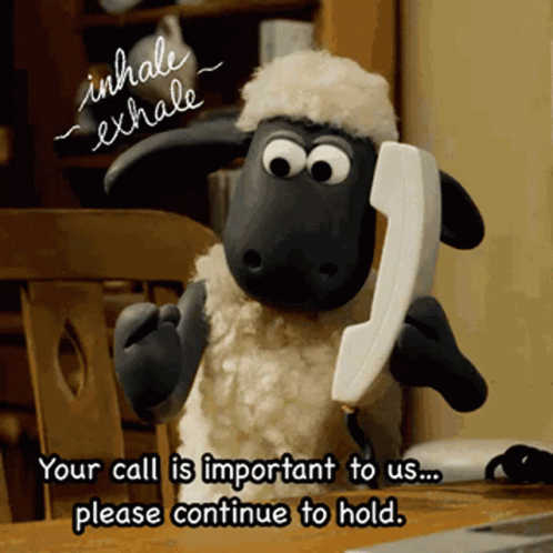 Shaun The Sheep Important Call GIF