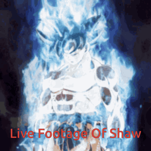 Shaw Live Footage With Dragon Ball Z Character