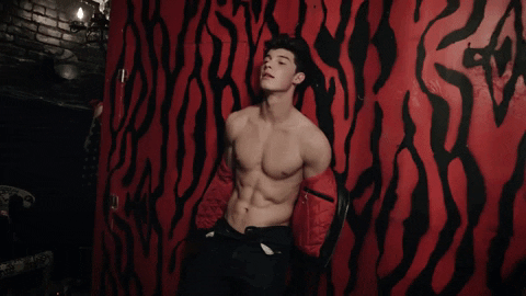 Shawn Mendes Flaunting His Abs GIF
