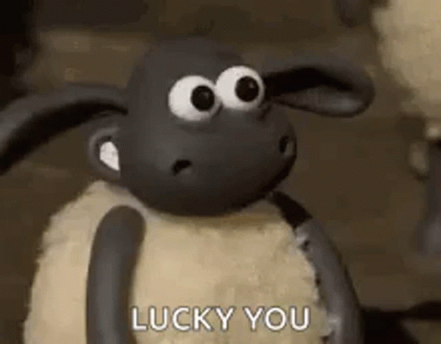 Shawn The Sheep Thumbs Up Lucky You GIF