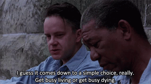 Tim Robbins And Morgan Freeman Shawshank Redemption GIF