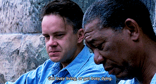 Get Busy Living Shawshank Redemption GIF