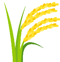 Sheaf Of Rice Nature Sticker GIF