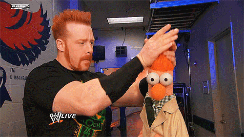 Sheamus Fixing Beaker's Hair GIF