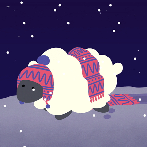 Sheep Baby Snow GIF