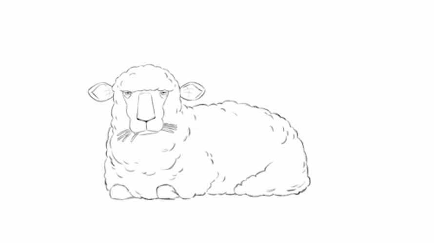 Sheep Drawing Chewing GIF 