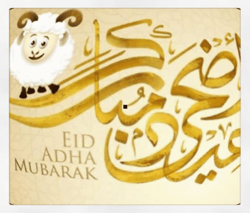Sheep Eid Adha Mubarak GIF