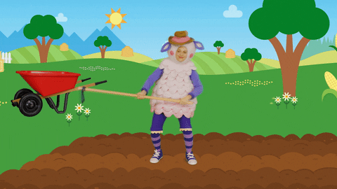 Sheep Gardening Backyard GIF