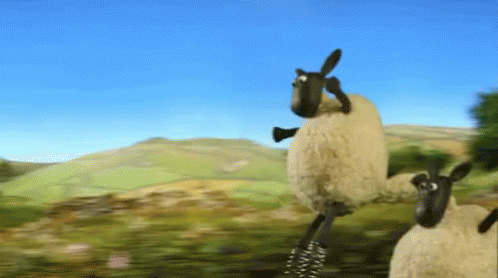 Sheep Jumping GIF